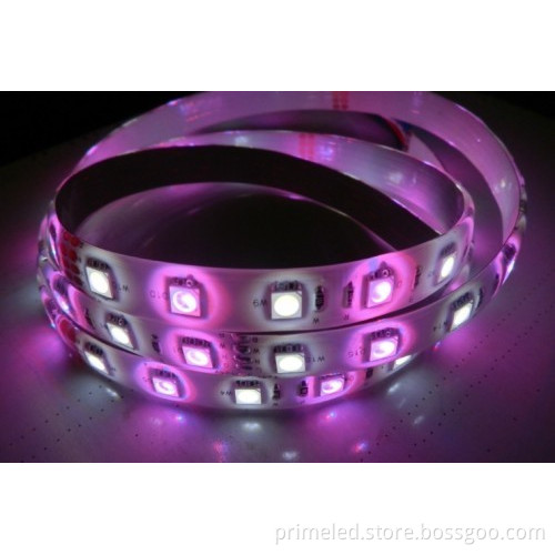 60led/m Rgbw Led Strip Lighting